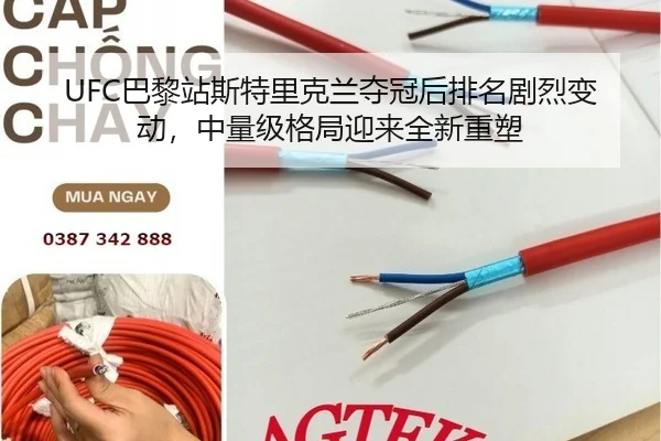UFC巴黎站斯特里克兰夺冠后排名剧烈变动，中量级格局迎来全新重塑