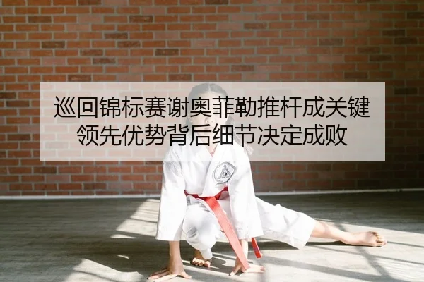 xun-hui-jin-biao-sai-xie-ao-fei-lei-tui-gan-cheng-guan-jian-ling-xian-you-shi-bei-hou-xi-jie-jue-ding-cheng-bai-2-978.jpg
